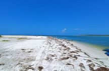 4-Hour Private Island Escape – Islands & Dolphins