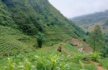 Ta Van Trekking Tour to Bamboo Forest & Ethnic Minority Villages