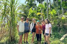 From Ha Noi/ Ha Long: 5-Day Pu Luong & Ninh Binh Nature Adventure