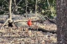 5 Stops Central Park Pedicab Tour Customizable Landmarks