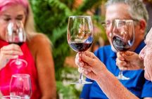 Mexican Wine Tasting & Aroma Sensory Experience