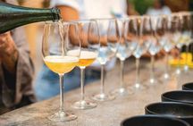 Mexican Wine Tasting & Aroma Sensory Experience