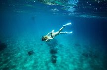 Sail in Style: Exclusive Snorkel Tour in Los Cabos