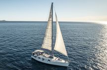 Sail in Style: Exclusive Whale watching Tour in Los Cabos