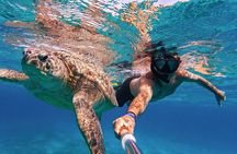 Sea Turtles Marsa Mubarak, Boat trip with Snorkeling-Marsa Alam 