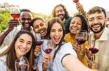 Premium Small Group Napa and Sonoma Wine Tour from San Francisco