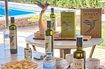 Visit to Family Ecological Olive Tree and Olive Oil Tasting