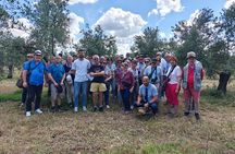 Córdoba : Visit to organic olive groves with tasting and tasting