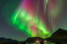 Northern Lights tour, photos, toilet, meal, skycam in mbus