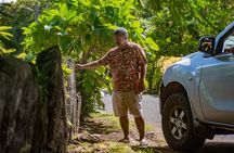 Private Tour: Bora Bora by 4WD