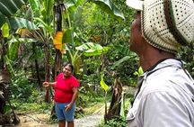 Bribri Chocolate Family Farm in the Indigenous Territory