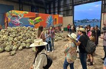 Secrets in Los Altos del Tequila