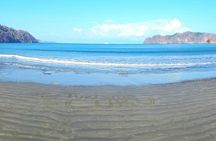 Turtle Islands Snorkeling and Wildlife Refuge Curu