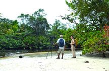 Cahuita National Park Guided Hike by Native Naturalistic Guide