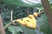 Cahuita National Park Guided Hike by Native Naturalistic Guide