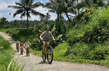 Kintamani Down Hill Cycling