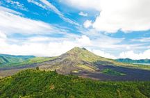 Private Full Day Bali Tour with Driver