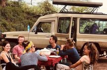 3 Days Serengeti & Ngorongoro Group Camping - Big Five Safari
