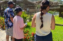 Private Tour In Roatan + Animal Park & Beach Break 