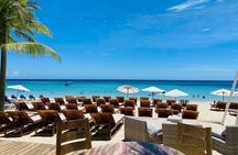 Private Tour In Roatan + Animal Park & Beach Break 