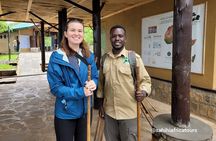 One Day Canopy Private Walk Adventure