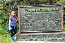 One Day Canopy Private Walk Adventure