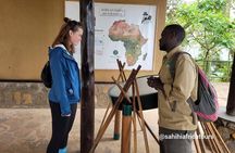 One Day Canopy Private Walk Adventure