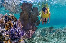 Cozumel 3 Reefs Snorkel