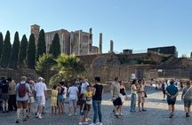 FORUM-Palatine & SUPER Sites Visit with Digital Audio Guide