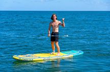 Shark Tooth Snorkeling Adventure and Huka Dive in Venice Florida