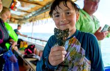 Shark Tooth Snorkeling Adventure and Huka Dive in Venice Florida