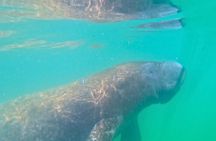 3-Hour Clear Kayak Beach Hopping Adventure in Sarasota