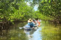 3-Hour Clear Kayak Beach Hopping Adventure in Sarasota