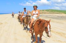 Horseback Riding Adventure and Tequila Tasting in Los Cabos