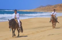 Horseback Riding Adventure and Tequila Tasting in Los Cabos