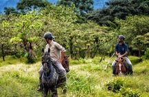 Horseback Riding and Wellness Ride and Clay Mask in Arenal