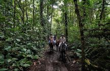 Horseback Riding and Wellness Ride and Clay Mask in Arenal