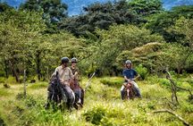 Horseback Riding and Wellness Ride and Clay Mask in Arenal
