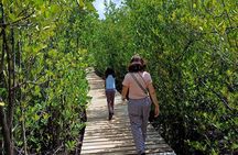 Vanilla Circuit, meeting our local producers