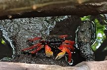 Vanilla Circuit, meeting our local producers