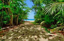 A Little Bit Of Everything Tour & Beach with Rum Punch (Private)