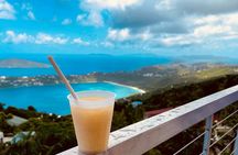 A Little Bit Of Everything Tour & Beach with Rum Punch (Private)