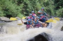Bali ATV (Quad Bike)+Rafting with lunch+Coffee Plantation tour