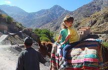 Atlas Mountains and Three Valleys Private Day Trip from Marrakech