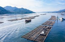 Miyajima Guided Tour and Fresh Oyster Farm Tour