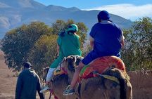 Agafay Desert Adventure with Dinner and Camel Ride