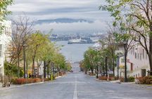 Hakodate Highlights 5 Hours Private Shore Excursion