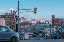 Hakodate Highlights 5 Hours Private Shore Excursion