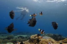 Island Hoping 5 Gili : Gili Gede, Asahan, Rengit, Layar & Goleng