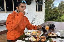 Giant Tortoises & Lava Tunnels Experience with Dome Stay